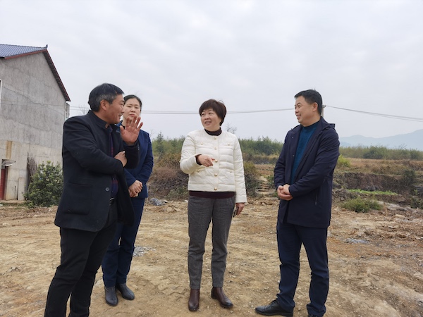 张皓在邵东市斫曹乡檀树村新建的服务中心现场查看工程进度12月24日