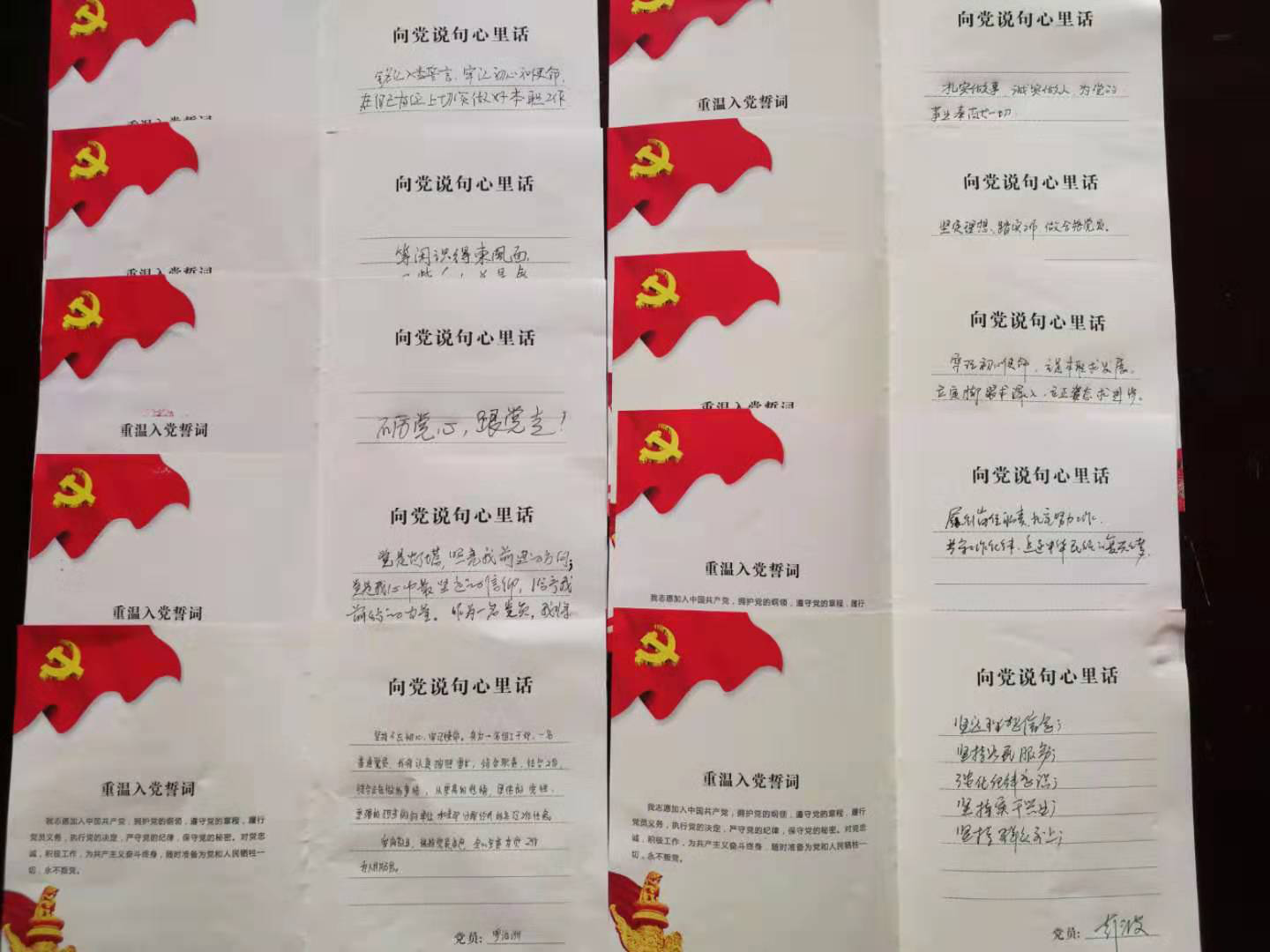 新宁县委组织部机关党支部开展"向党说句心里话"主题党日活动