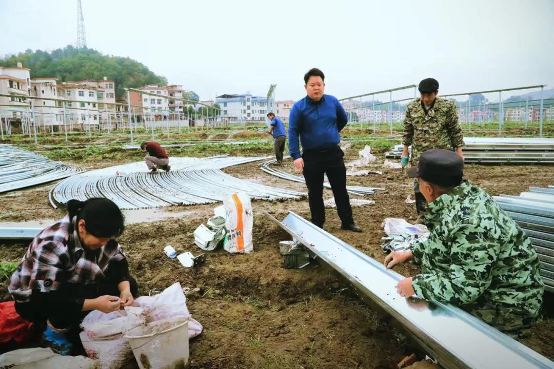 牛年乡村春来早 武冈农业农村部门不忙过年忙农事_邵阳头条网