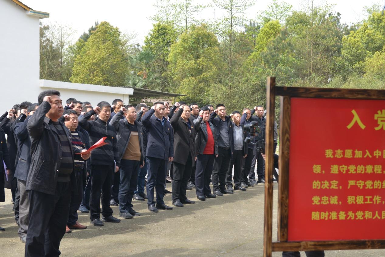 洞口党史教育第一讲_邵阳头条网