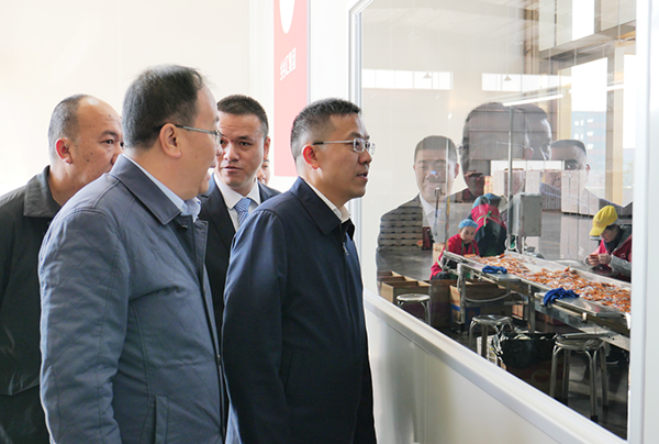 龚红果在武冈调研时强调： 深入学习贯彻省党代会精神 让党旗在基层一线高高飘扬_邵阳头条网