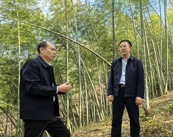 龚红果到绥宁县调研组织统战工作并开展 巡林督导_邵阳头条网